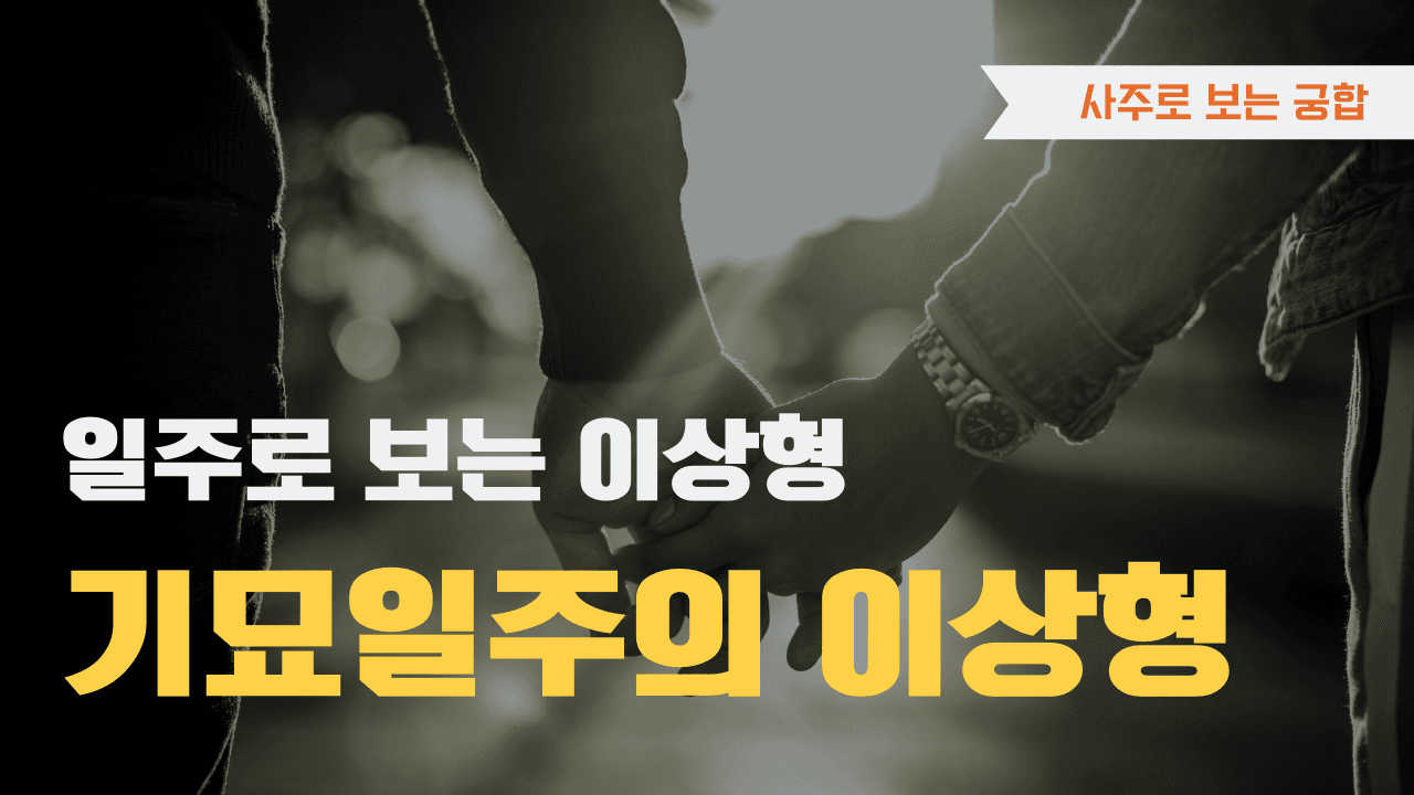 기묘일주 이상형