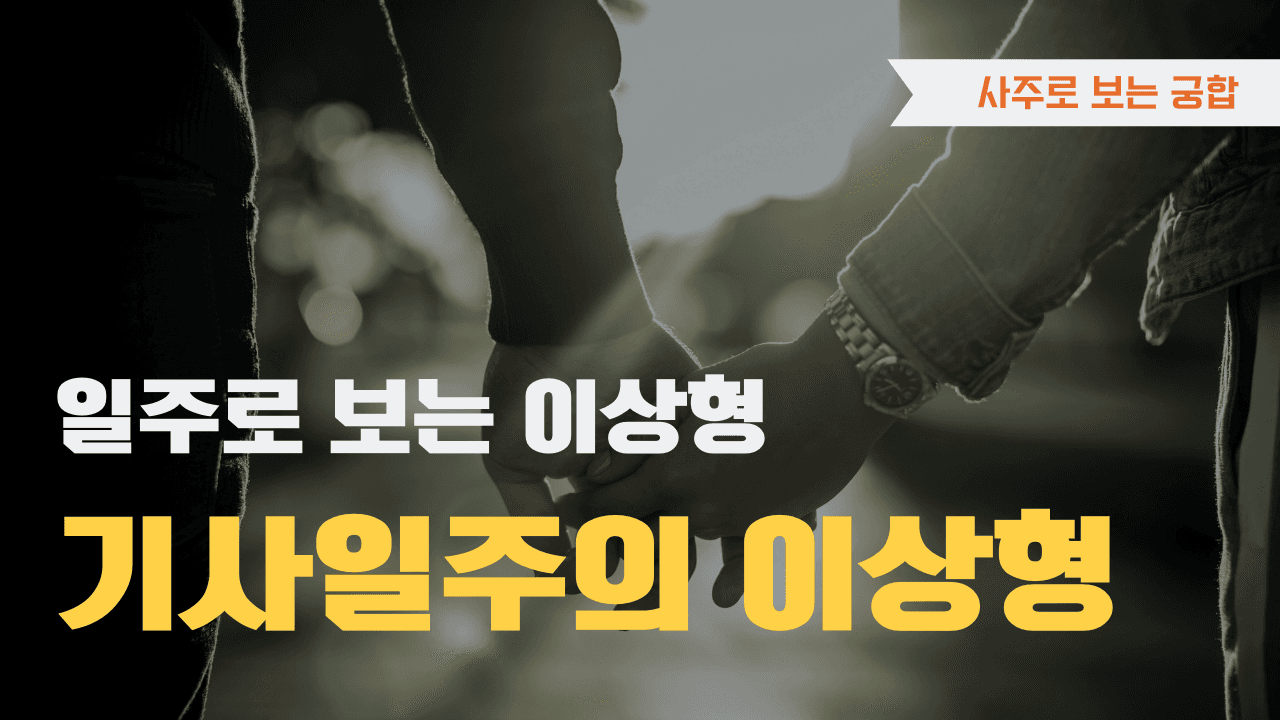 기사일주 이상형