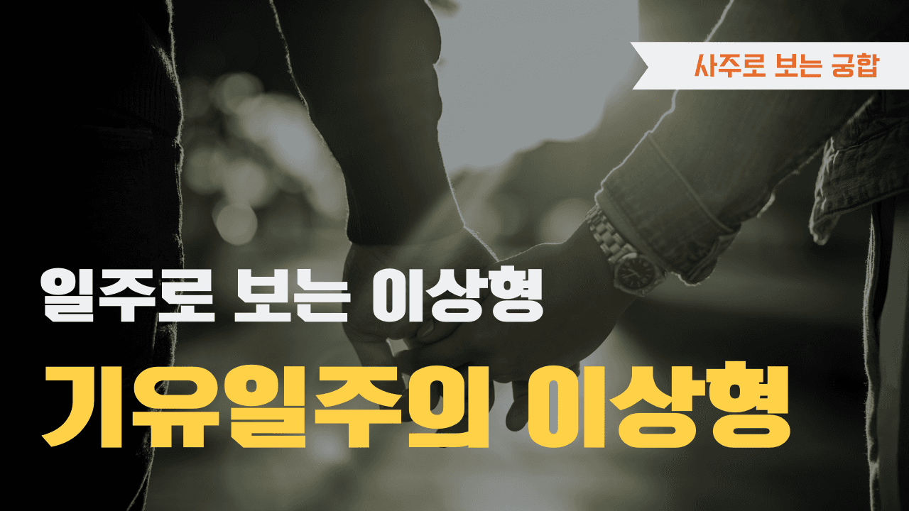 기유일주 이상형