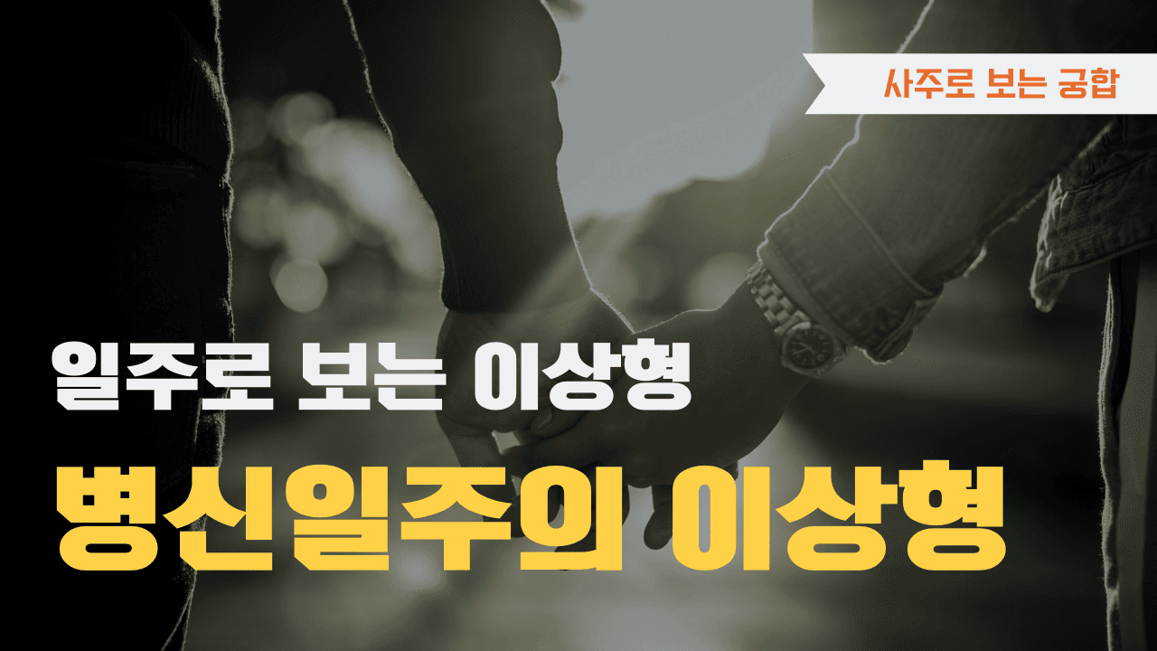 병신일주 이상형