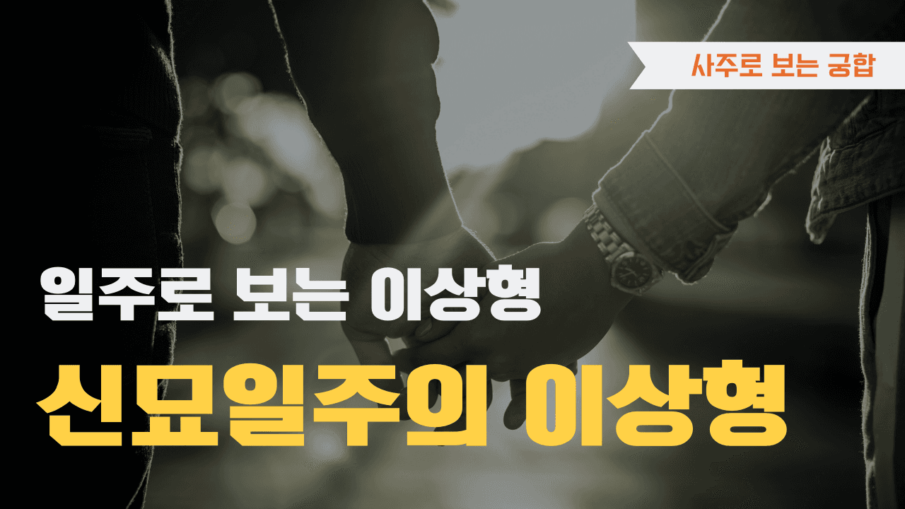 신묘일주 이상형