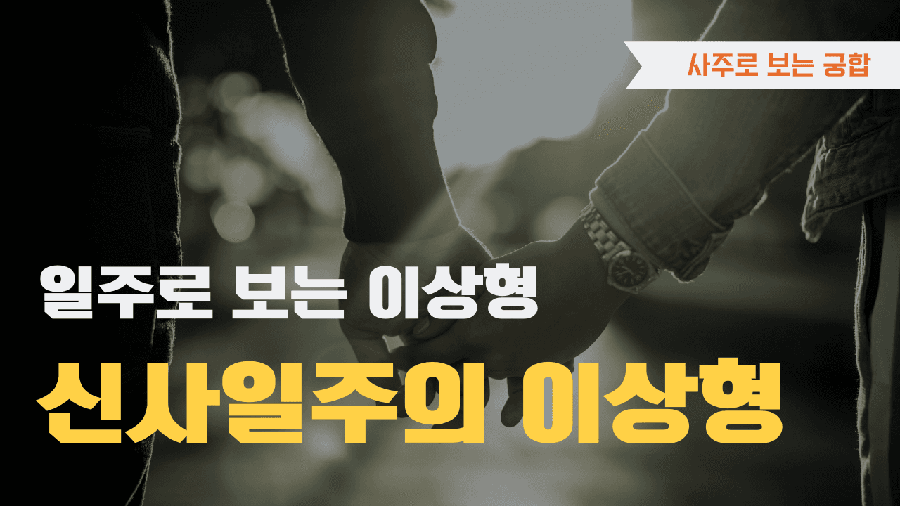 신사일주 이상형