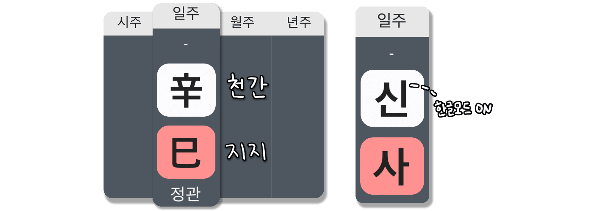 신사일주 특징