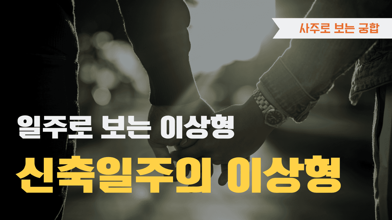 신축일주 이상형