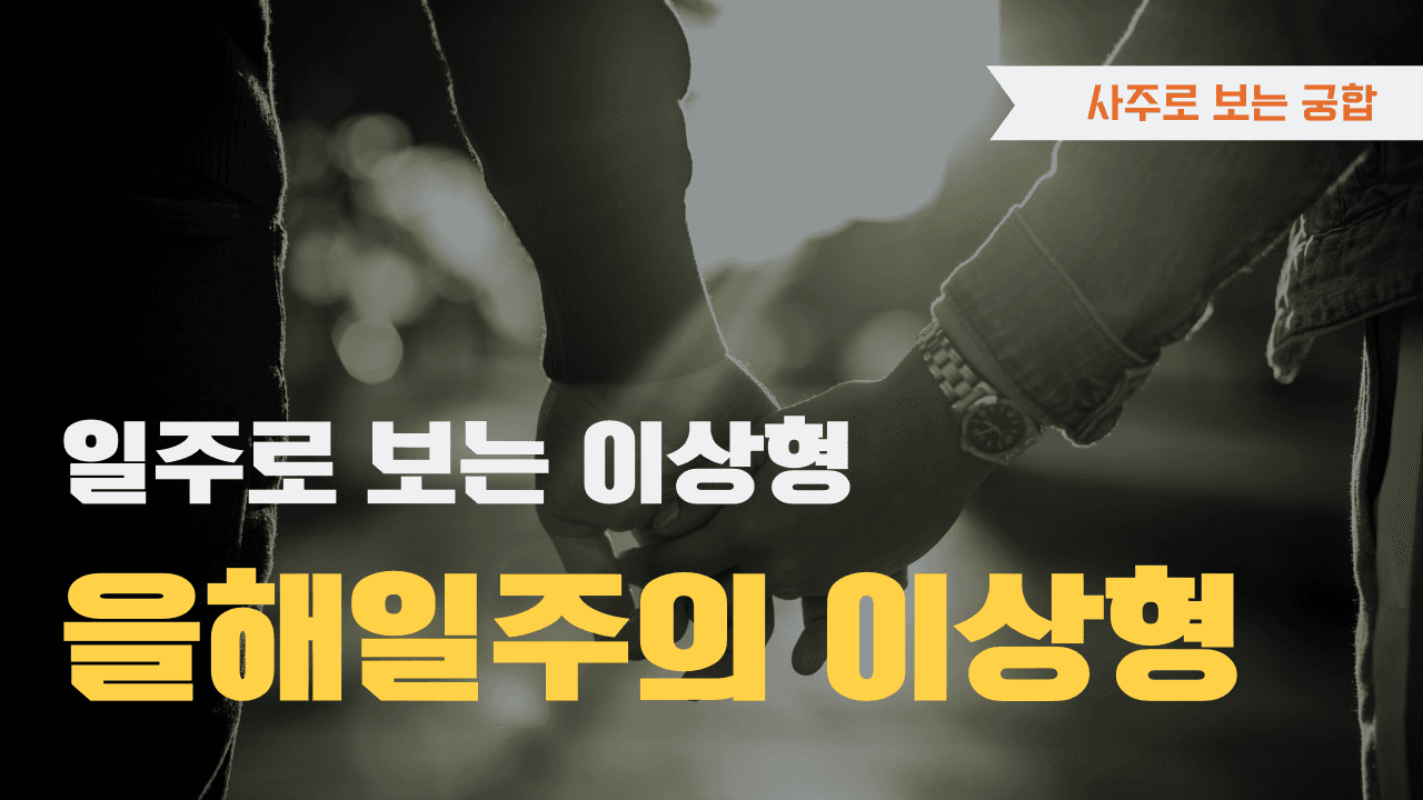 을해일주 이상형