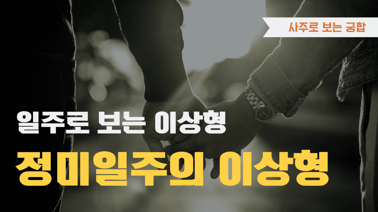 정미일주 이상형